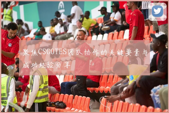 聚焦CSGOTES团队协作的关键要素与成功经验分享